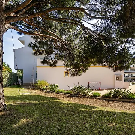 Apartment - Cozy And Quiet